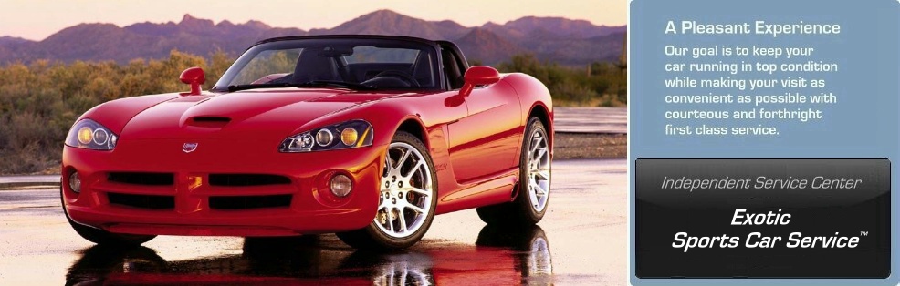 Las Vegas Viper Service